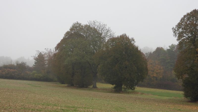 Herbst